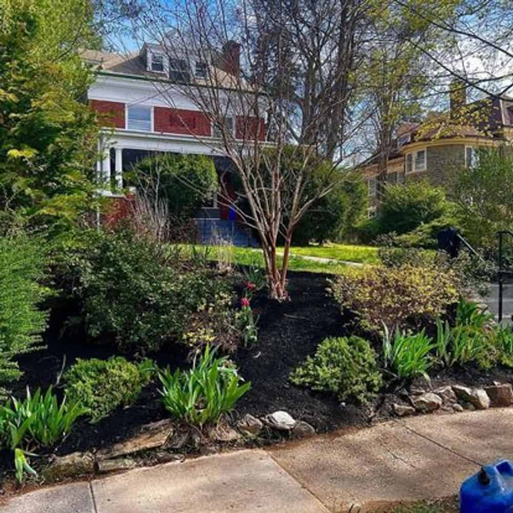 Garden Services image