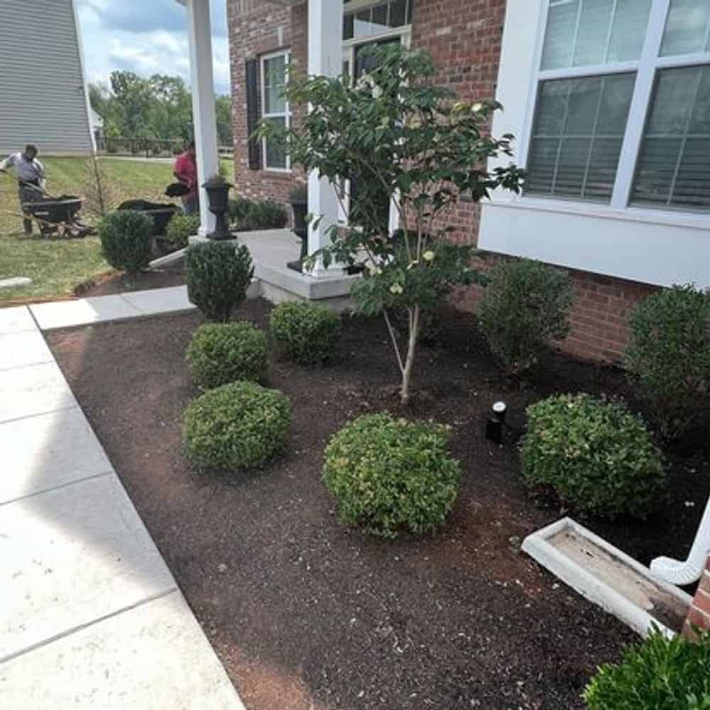 Mulching and Weed Control image