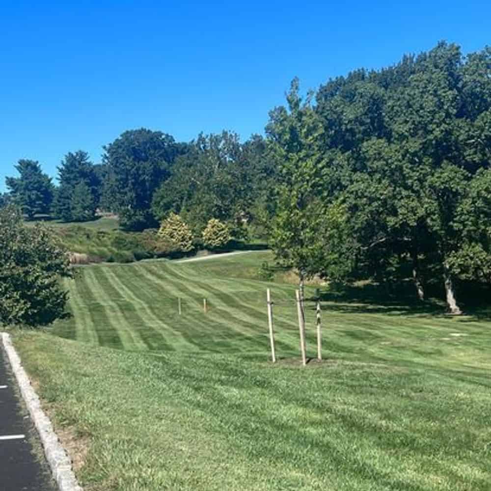 Lawn Care Services image